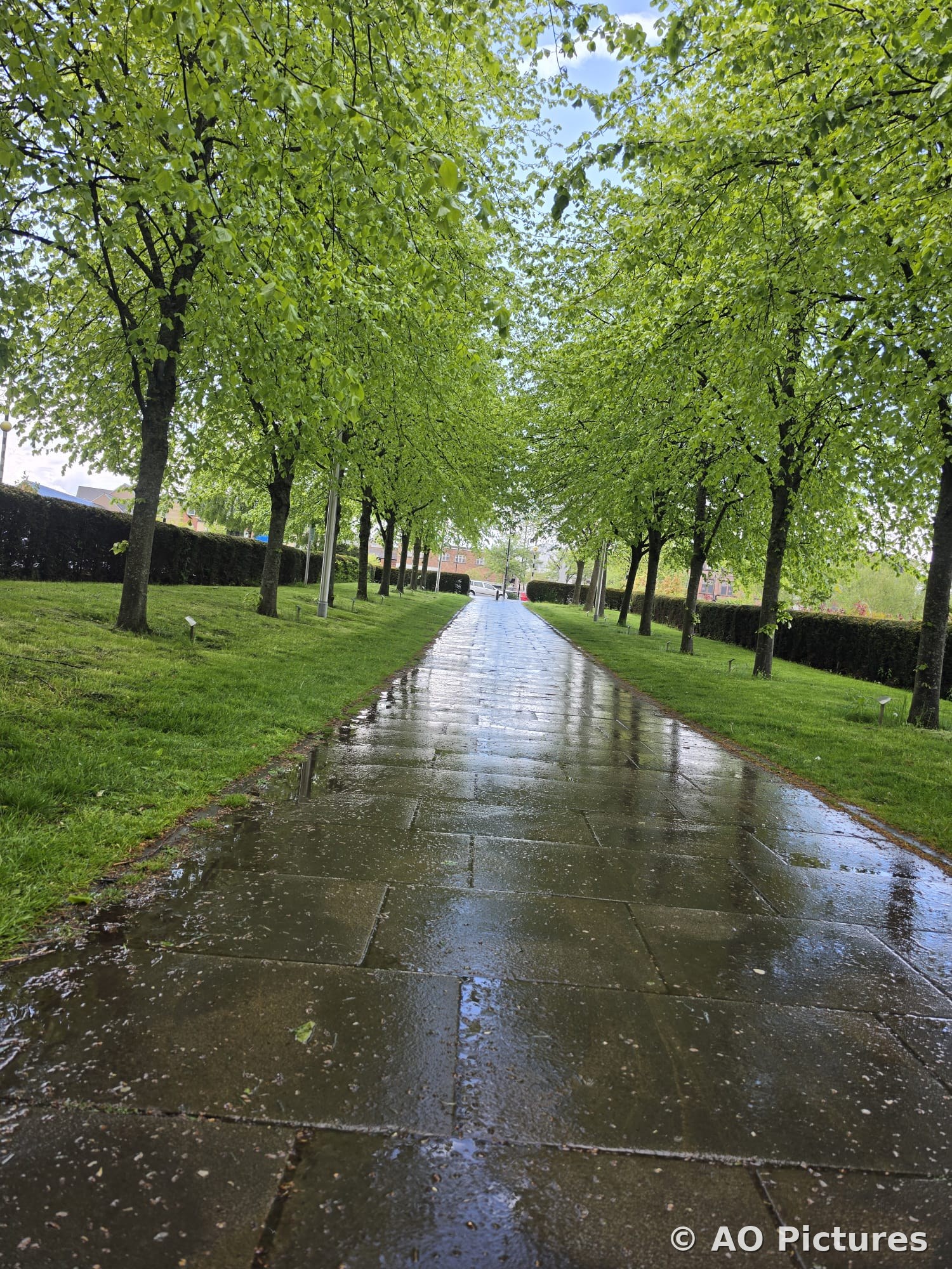 A Perfect Shade of Green