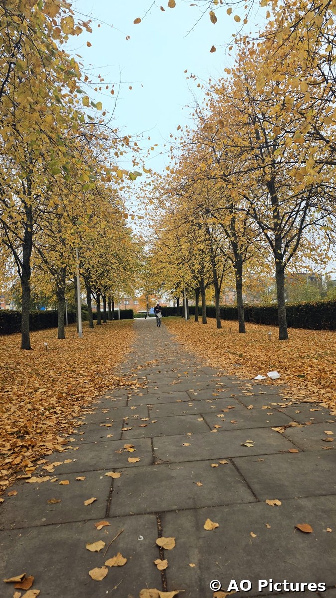 Path to Alloa Tower