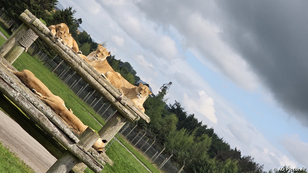 Blair Drummond Safari Park