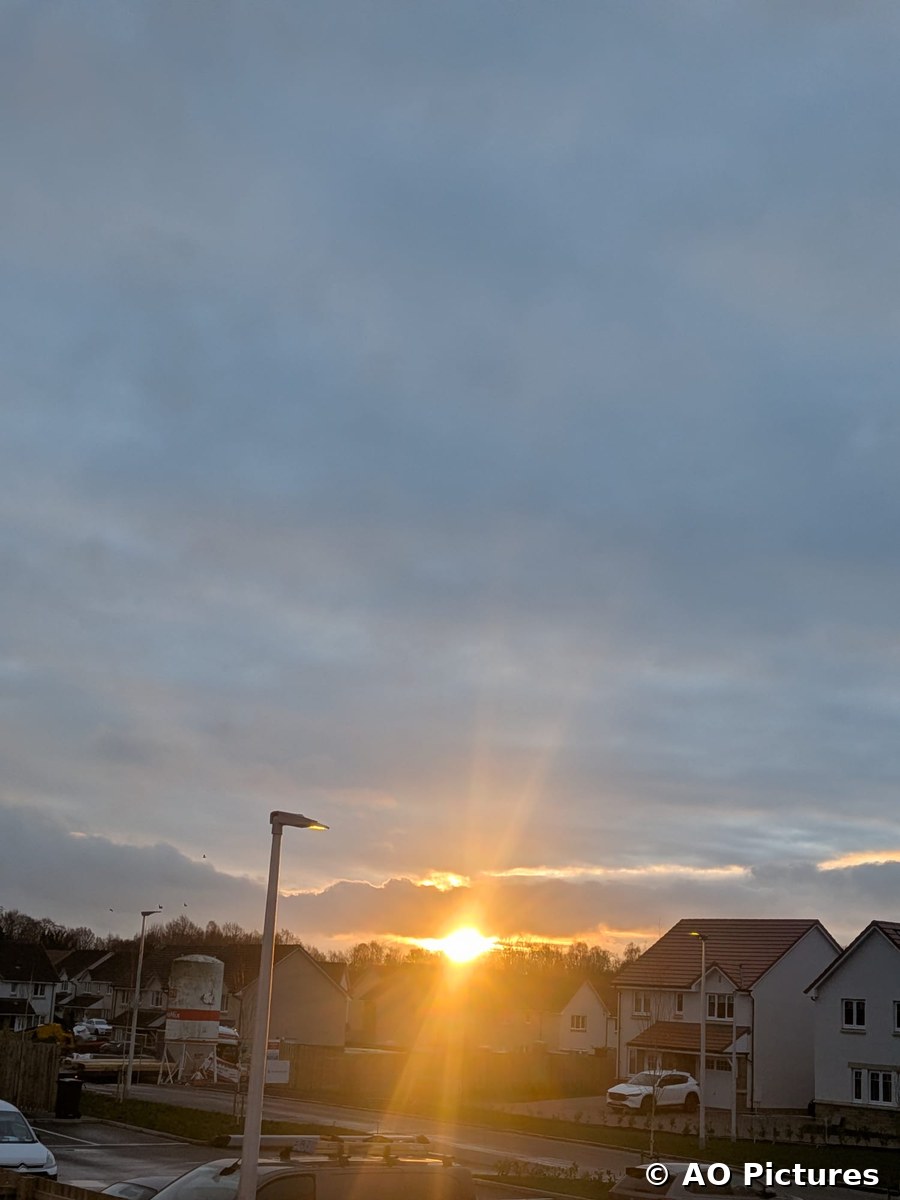A Burst of Sunshine